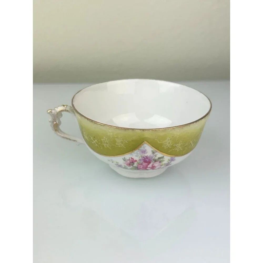 Excelsior Austria Porcelain Teacup & Saucer Green Pink Floral Victorian